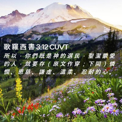 Picture 02 - 歌 羅 西 書 3:12 CUVT - 所 以 ， 你 們 既 是 神 的 選 民 ， - Bible Verse Picture