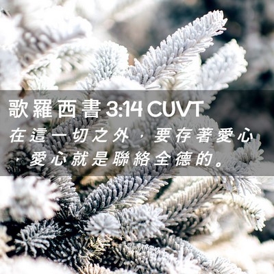 Picture 02 - 歌 羅 西 書 3:14 CUVT - 在 這 一 切 之 外 ， 要 存 著 愛 心 - Bible Verse Picture