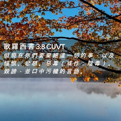 Picture 02 - 歌 羅 西 書 3:8 CUVT - 但 現 在 你 們 要 棄 絕 這 一 切 的 - Bible Verse Picture