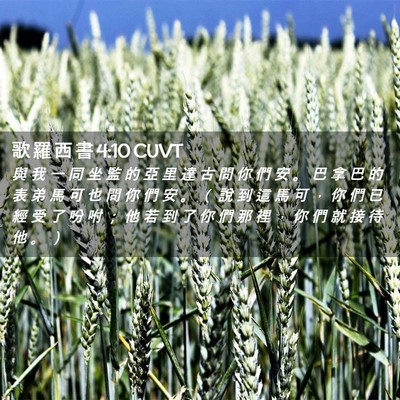 Picture 02 - 歌 羅 西 書 4:10 CUVT - 與 我 一 同 坐 監 的 亞 里 達 古 問 - Bible Verse Picture
