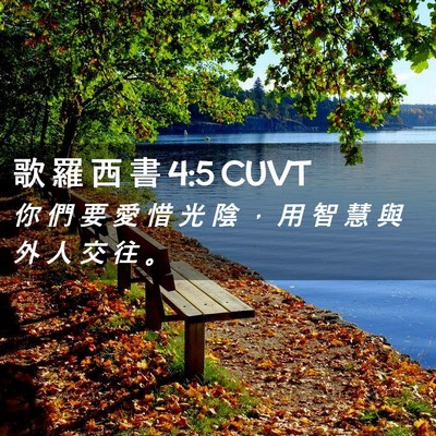 Picture 02 - 歌 羅 西 書 4:5 CUVT - 你 們 要 愛 惜 光 陰 ， 用 智 慧 與 - Bible Verse Picture
