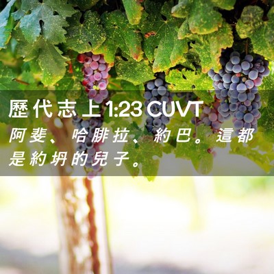 Picture 02 - 歷 代 志 上 1:23 CUVT - 阿 斐 、 哈 腓 拉 、 約 巴 。 這 都 - Bible Verse Picture
