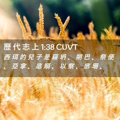Picture 02 - 歷 代 志 上 1:38 CUVT - 西 珥 的 兒 子 是 羅 坍 、 朔 巴 、 - Bible Verse Picture