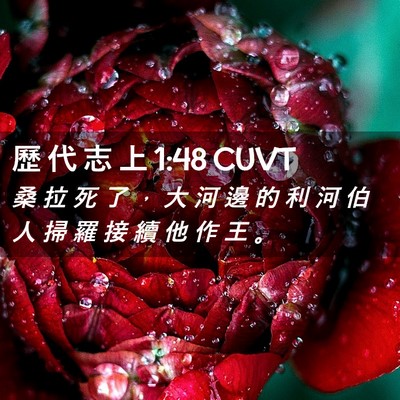 Picture 02 - 歷 代 志 上 1:48 CUVT - 桑 拉 死 了 ， 大 河 邊 的 利 河 伯 - Bible Verse Picture