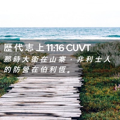Picture 02 - 歷 代 志 上 11:16 CUVT - 那 時 大 衛 在 山 寨 ， 非 利 士 人 - Bible Verse Picture