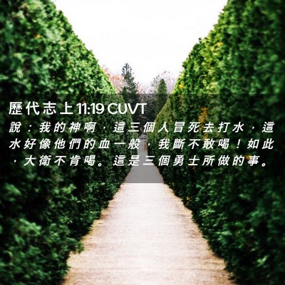 Picture 02 - 歷 代 志 上 11:19 CUVT - 說 ： 我 的 神 啊 ， 這 三 個 人 冒 - Bible Verse Picture