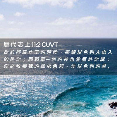 Picture 02 - 歷 代 志 上 11:2 CUVT - 從 前 掃 羅 作 王 的 時 候 ， 率 領 - Bible Verse Picture