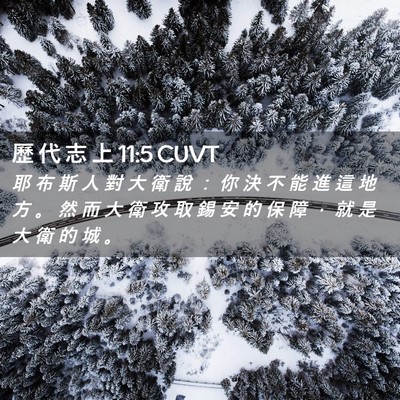 Picture 02 - 歷 代 志 上 11:5 CUVT - 耶 布 斯 人 對 大 衛 說 ： 你 決 不 - Bible Verse Picture