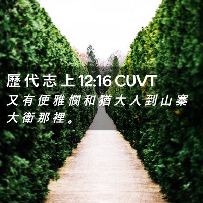 Picture 02 - 歷 代 志 上 12:16 CUVT - 又 有 便 雅 憫 和 猶 大 人 到 山 寨 - Bible Verse Picture