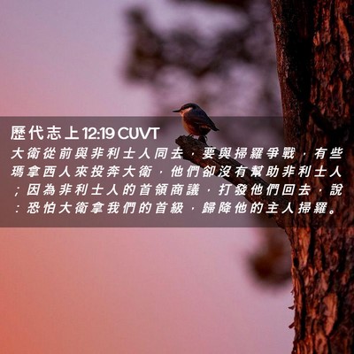Picture 02 - 歷 代 志 上 12:19 CUVT - 大 衛 從 前 與 非 利 士 人 同 去 ， - Bible Verse Picture