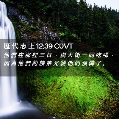 Picture 02 - 歷 代 志 上 12:39 CUVT - 他 們 在 那 裡 三 日 ， 與 大 衛 一 - Bible Verse Picture