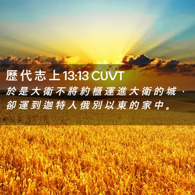 Picture 02 - 歷 代 志 上 13:13 CUVT - 於 是 大 衛 不 將 約 櫃 運 進 大 衛 - Bible Verse Picture