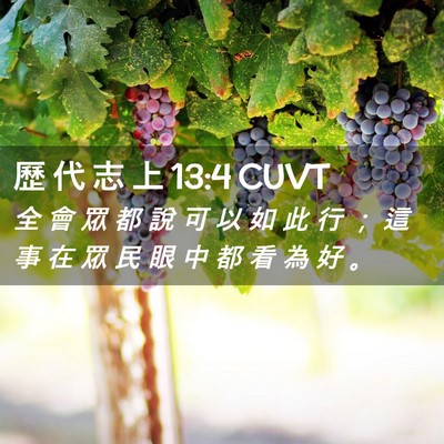 Picture 02 - 歷 代 志 上 13:4 CUVT - 全 會 眾 都 說 可 以 如 此 行 ； 這 - Bible Verse Picture