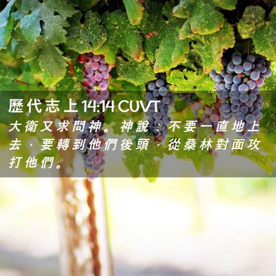 Picture 02 - 歷 代 志 上 14:14 CUVT - 大 衛 又 求 問 神 。 神 說 ： 不 要 - Bible Verse Picture