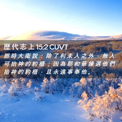 Picture 02 - 歷 代 志 上 15:2 CUVT - 那 時 大 衛 說 ： 除 了 利 未 人 之 - Bible Verse Picture