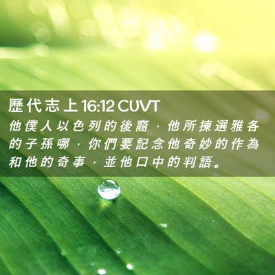 Picture 02 - 歷 代 志 上 16:12 CUVT - 他 僕 人 以 色 列 的 後 裔 ， 他 所 - Bible Verse Picture