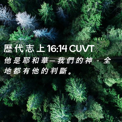 Picture 02 - 歷 代 志 上 16:14 CUVT - 他 是 耶 和 華 ─ 我 們 的 神 ， 全 - Bible Verse Picture