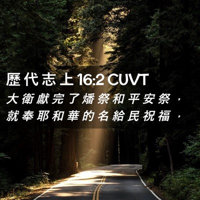 Picture 02 - 歷 代 志 上 16:2 CUVT - 大 衛 獻 完 了 燔 祭 和 平 安 祭 ， - Bible Verse Picture