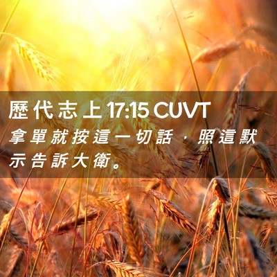Picture 02 - 歷 代 志 上 17:15 CUVT - 拿 單 就 按 這 一 切 話 ， 照 這 默 - Bible Verse Picture