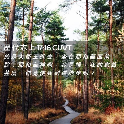 Picture 02 - 歷 代 志 上 17:16 CUVT - 於 是 大 衛 王 進 去 ， 坐 在 耶 和 - Bible Verse Picture