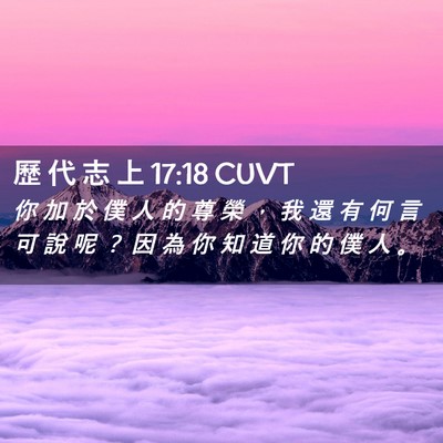 Picture 02 - 歷 代 志 上 17:18 CUVT - 你 加 於 僕 人 的 尊 榮 ， 我 還 有 - Bible Verse Picture