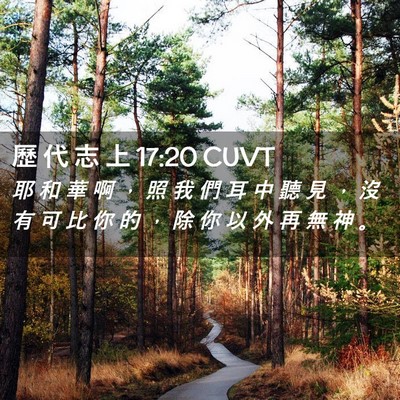 Picture 02 - 歷 代 志 上 17:20 CUVT - 耶 和 華 啊 ， 照 我 們 耳 中 聽 見 - Bible Verse Picture