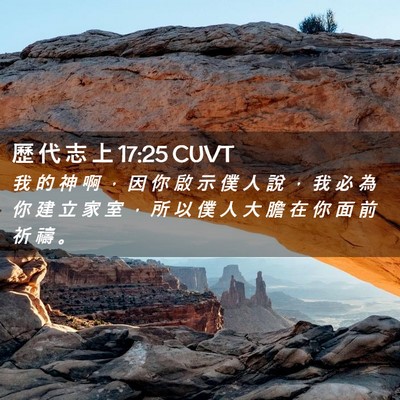 Picture 02 - 歷 代 志 上 17:25 CUVT - 我 的 神 啊 ， 因 你 啟 示 僕 人 說 - Bible Verse Picture