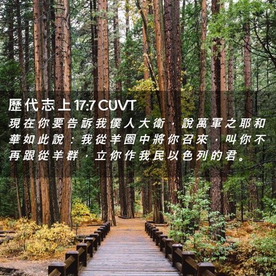 Picture 02 - 歷 代 志 上 17:7 CUVT - 現 在 你 要 告 訴 我 僕 人 大 衛 ， - Bible Verse Picture