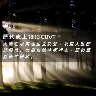 Picture 02 - 歷 代 志 上 18:13 CUVT - 大 衛 在 以 東 地 設 立 防 營 ， 以 - Bible Verse Picture