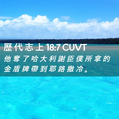 Picture 02 - 歷 代 志 上 18:7 CUVT - 他 奪 了 哈 大 利 謝 臣 僕 所 拿 的 - Bible Verse Picture