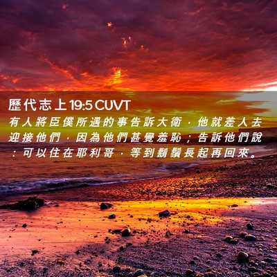 Picture 02 - 歷 代 志 上 19:5 CUVT - 有 人 將 臣 僕 所 遇 的 事 告 訴 大 - Bible Verse Picture
