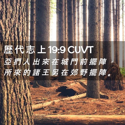 Picture 02 - 歷 代 志 上 19:9 CUVT - 亞 捫 人 出 來 在 城 門 前 擺 陣 ， - Bible Verse Picture