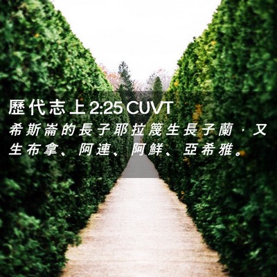 Picture 02 - 歷 代 志 上 2:25 CUVT - 希 斯 崙 的 長 子 耶 拉 篾 生 長 子 - Bible Verse Picture