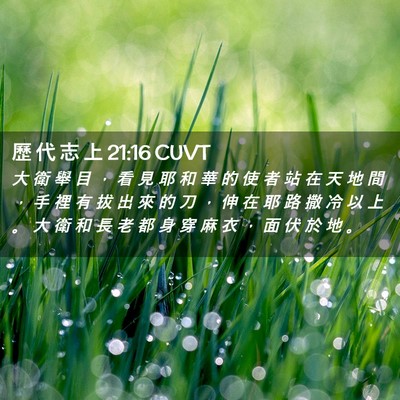 Picture 02 - 歷 代 志 上 21:16 CUVT - 大 衛 舉 目 ， 看 見 耶 和 華 的 使 - Bible Verse Picture