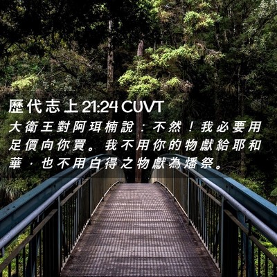 Picture 02 - 歷 代 志 上 21:24 CUVT - 大 衛 王 對 阿 珥 楠 說 ： 不 然 ！ - Bible Verse Picture