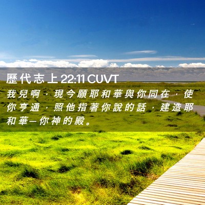Picture 02 - 歷 代 志 上 22:11 CUVT - 我 兒 啊 ， 現 今 願 耶 和 華 與 你 - Bible Verse Picture