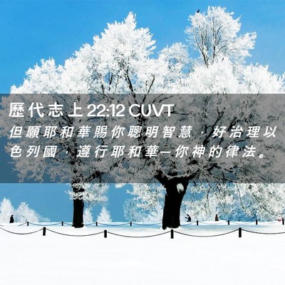 Picture 02 - 歷 代 志 上 22:12 CUVT - 但 願 耶 和 華 賜 你 聰 明 智 慧 ， - Bible Verse Picture