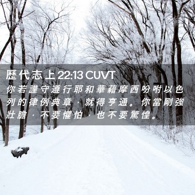 Picture 02 - 歷 代 志 上 22:13 CUVT - 你 若 謹 守 遵 行 耶 和 華 藉 摩 西 - Bible Verse Picture