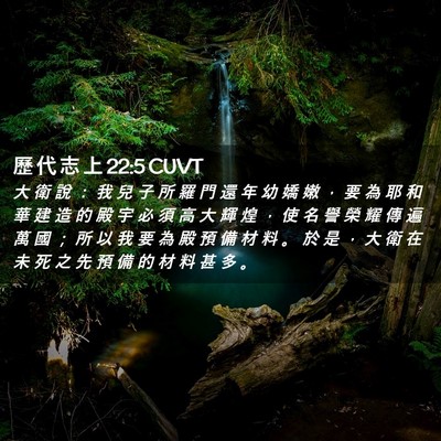 Picture 02 - 歷 代 志 上 22:5 CUVT - 大 衛 說 ： 我 兒 子 所 羅 門 還 年 - Bible Verse Picture