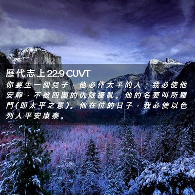 Picture 02 - 歷 代 志 上 22:9 CUVT - 你 要 生 一 個 兒 子 ， 他 必 作 太 - Bible Verse Picture
