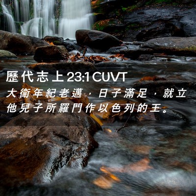 Picture 02 - 歷 代 志 上 23:1 CUVT - 大 衛 年 紀 老 邁 ， 日 子 滿 足 ， - Bible Verse Picture