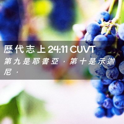 Picture 02 - 歷 代 志 上 24:11 CUVT - 第 九 是 耶 書 亞 ， 第 十 是 示 迦 - Bible Verse Picture