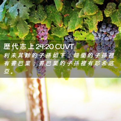 Picture 02 - 歷 代 志 上 24:20 CUVT - 利 未 其 餘 的 子 孫 如 下 ： 暗 蘭 - Bible Verse Picture