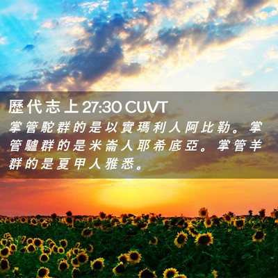 Picture 02 - 歷 代 志 上 27:30 CUVT - 掌 管 駝 群 的 是 以 實 瑪 利 人 阿 - Bible Verse Picture