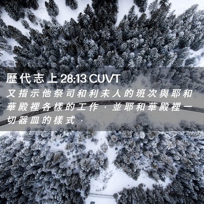Picture 02 - 歷 代 志 上 28:13 CUVT - 又 指 示 他 祭 司 和 利 未 人 的 班 - Bible Verse Picture