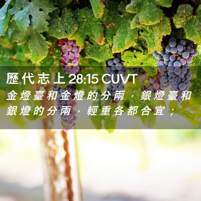 Picture 02 - 歷 代 志 上 28:15 CUVT - 金 燈 臺 和 金 燈 的 分 兩 ， 銀 燈 - Bible Verse Picture
