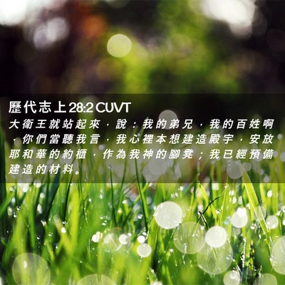 Picture 02 - 歷 代 志 上 28:2 CUVT - 大 衛 王 就 站 起 來 ， 說 ： 我 的 - Bible Verse Picture