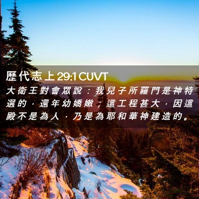 Picture 02 - 歷 代 志 上 29:1 CUVT - 大 衛 王 對 會 眾 說 ： 我 兒 子 所 - Bible Verse Picture