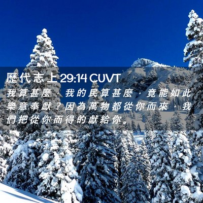 Picture 02 - 歷 代 志 上 29:14 CUVT - 我 算 甚 麼 ， 我 的 民 算 甚 麼 ， - Bible Verse Picture