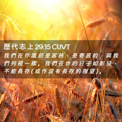 Picture 02 - 歷 代 志 上 29:15 CUVT - 我 們 在 你 面 前 是 客 旅 ， 是 寄 - Bible Verse Picture